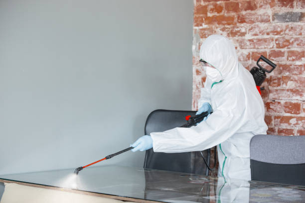 Best Basement Mold Removal  in Artesia, CA