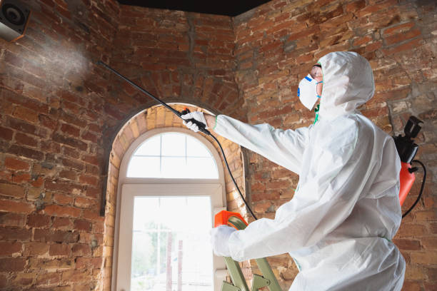 Professional Mold Inspection in Artesia, CA