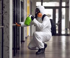 Why You Should Choose Our Mold Remediation Services in Artesia, CA