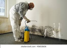 Best Commercial Mold Inspection  in Artesia, CA